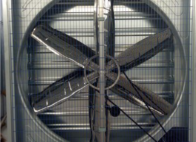 點擊查看詳細信息<br>標題：Heavy Hammer Type Animal Husbandry Fan 閱讀次數：1569