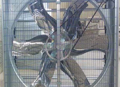 點擊查看詳細信息<br>標題：Push Pull Negative Pressure Fan 閱讀次數：1462